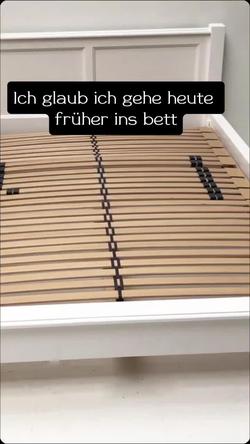 Recut | Waschbär 🦝