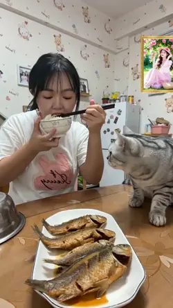 Cats fight over food