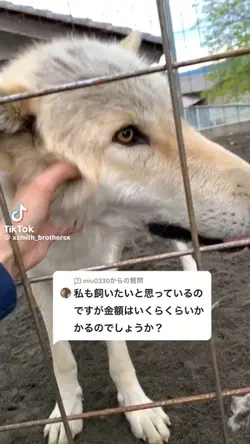 可愛い