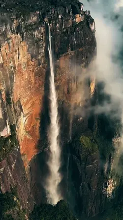 CINEMA TRAVEL