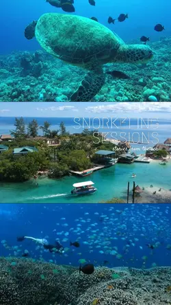 snorkelling trip