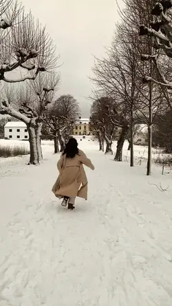 snow fall