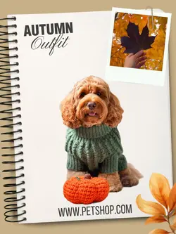 Pet autumn fashion