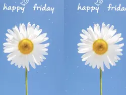Happy Friday 