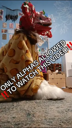 IM THE ALPHA 