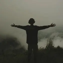 1:1