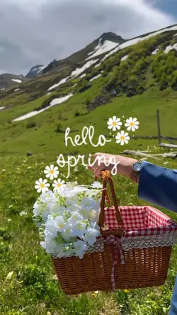 flowers vlog