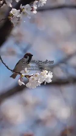 Surah Al-Furqan