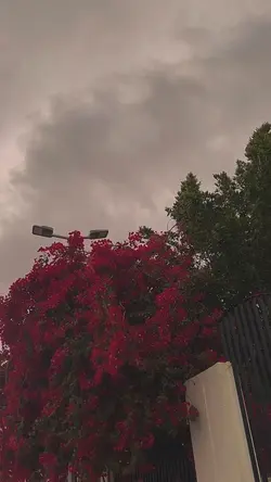 5 clips slowmo 