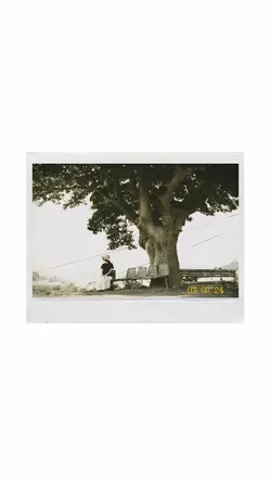 polaroid