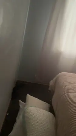 Clean Room reveal