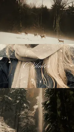 winter aesthetic 