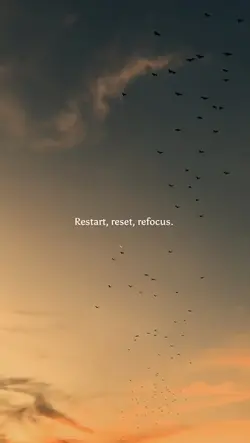 reset restart focus