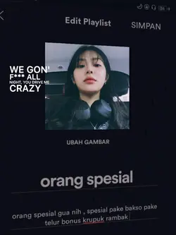 frame filter spotify