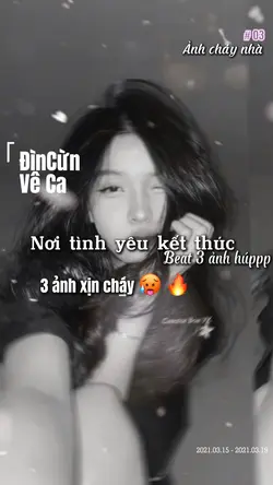 Lạc mất lối 