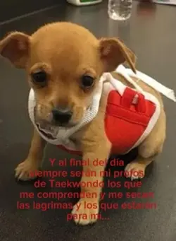 .