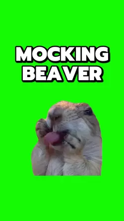 MOCKING BEAVER