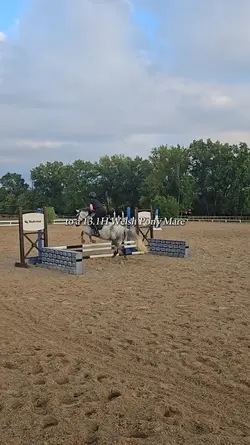 horse to pony