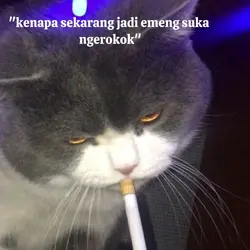 mengapa bintang
