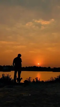 Into the wild 