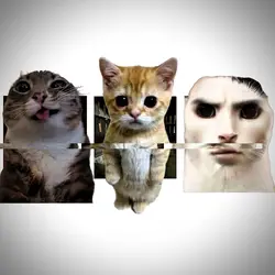 TREND EDIT VIRAL 