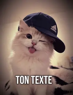 chats 