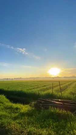 Selamat pagi dunia