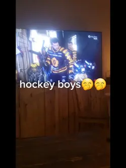 skellefteå aik 