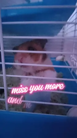RIP Coco 