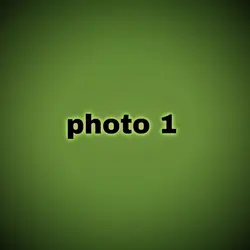 phonk