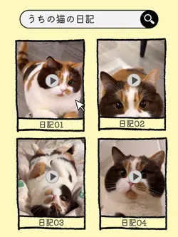 うちの猫の日記