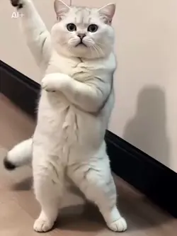 aiダンス