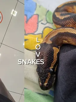 I LOVE SNAKES