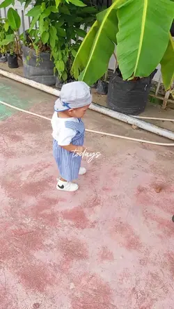 bocil ku