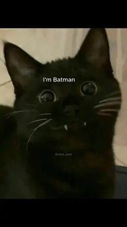 I'm Batman