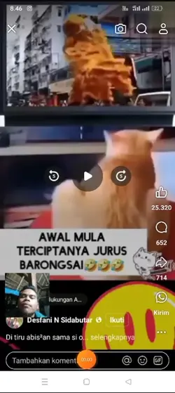 Reaction