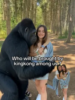brought by King Kong
