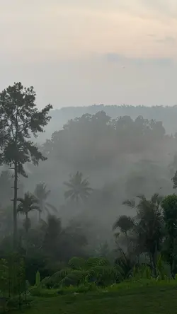 Fog
