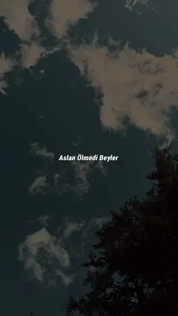 Aslan Ölmedi