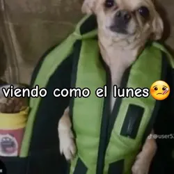 literal el lunes...