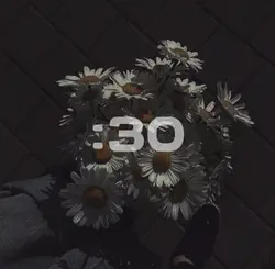 :1