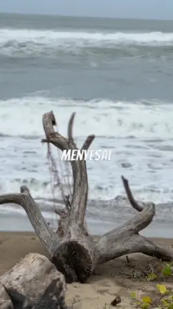 Penyesalan
