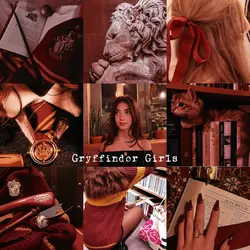 Gryffindor Aesthetic