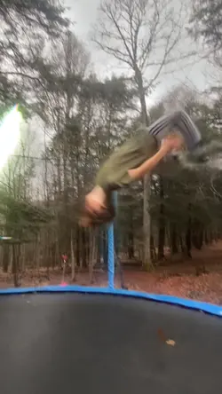 Flips