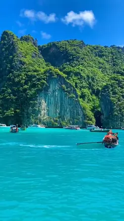 19 videos or photos