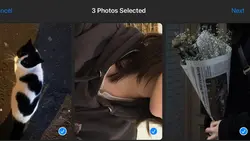 3 pics | dark tone