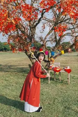 1 ảnh 