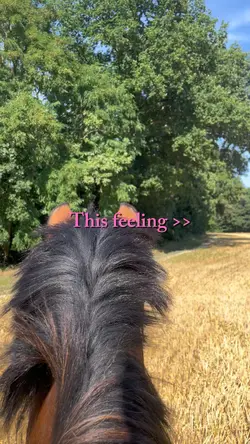 The feeling >>