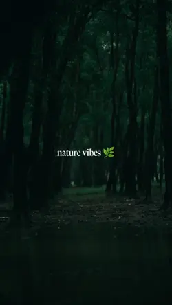 Nature vibes