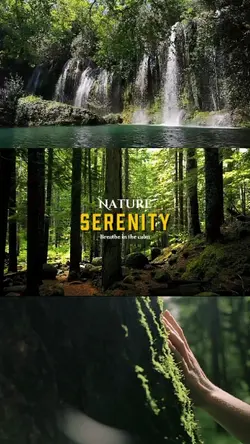Nature Serenity